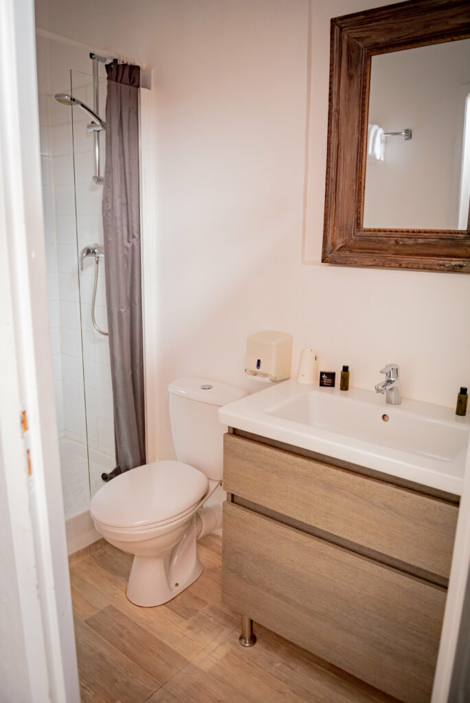 Chambre double Coquelicot - Hôtel Henri 4 Eauze - Salle de bain